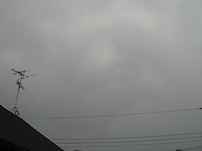 IMG_0048.jpg